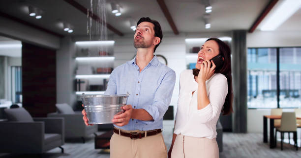 Best Emergency Water Extraction Services in Nemacolin, PA